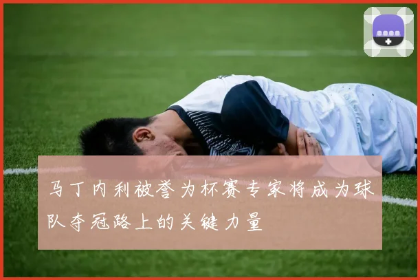 马丁内利被誉为杯赛专家将成为球队夺冠路上的关键力量