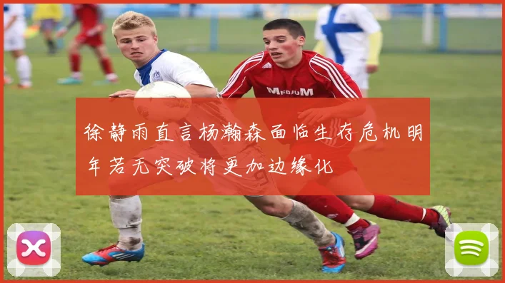 徐静雨直言杨瀚森面临生存危机明年若无突破将更加边缘化