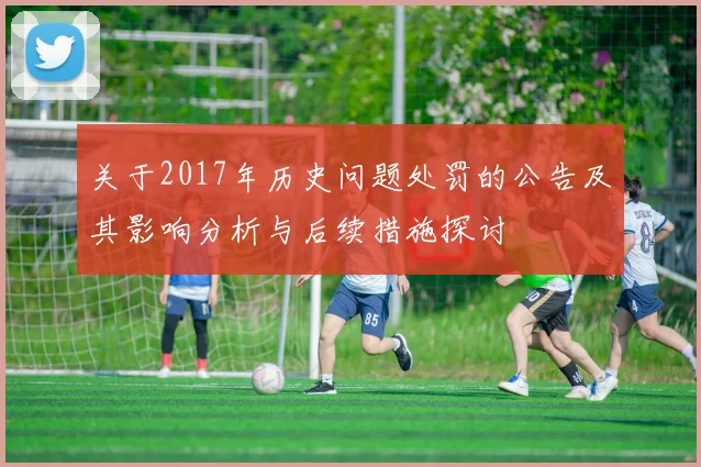关于2017年历史问题处罚的公告及其影响分析与后续措施探讨